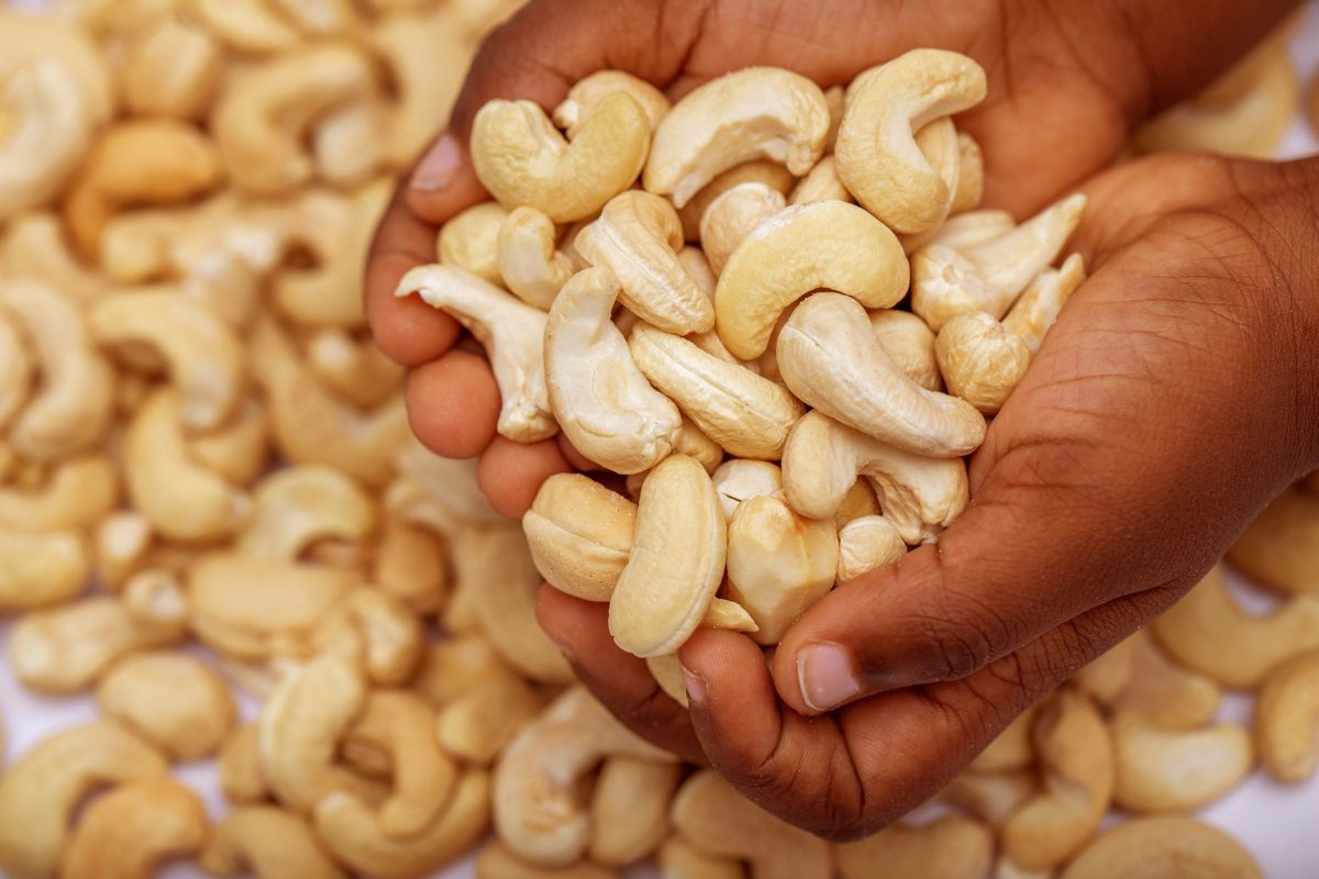 Cashew nuts supplier