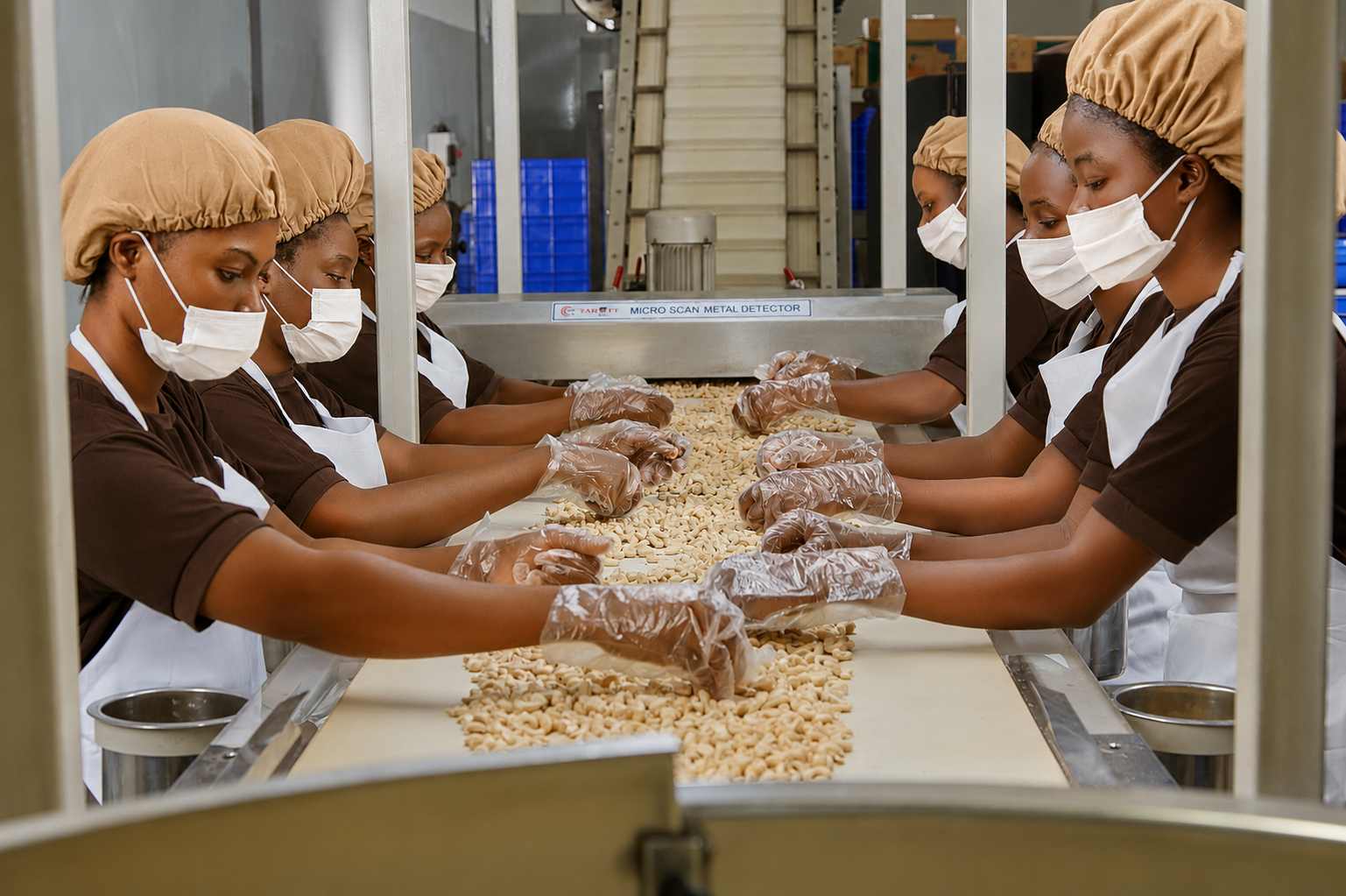 Cashew Nuts Manufacturer