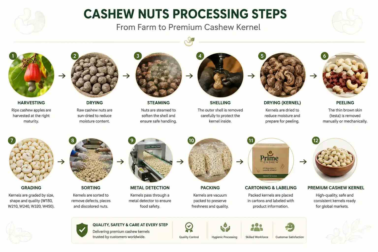 Wholesale Cashew Nuts